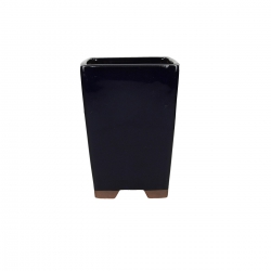 Pot 13 cm
