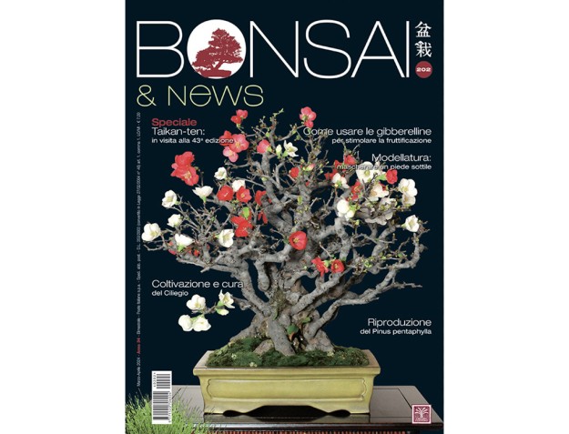 BONSAI & news 202 de mars-avril 2024