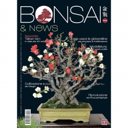 BONSAI & news 202 di marzo-aprile 2024