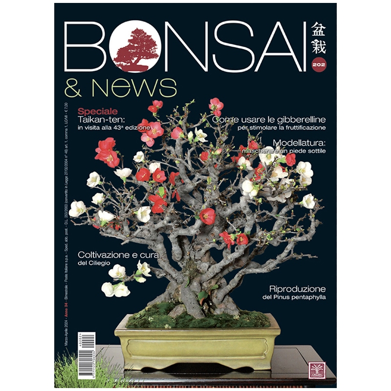 BONSAI & news 202 March-April 2024