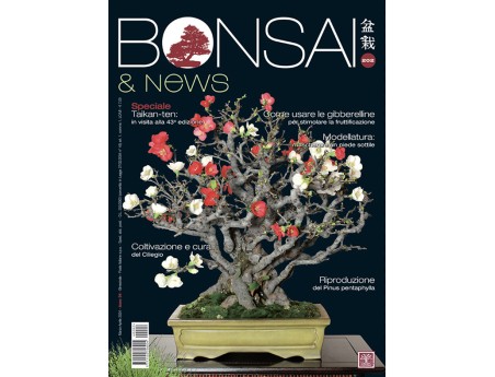 BONSAI & news 202 di marzo-aprile 2024