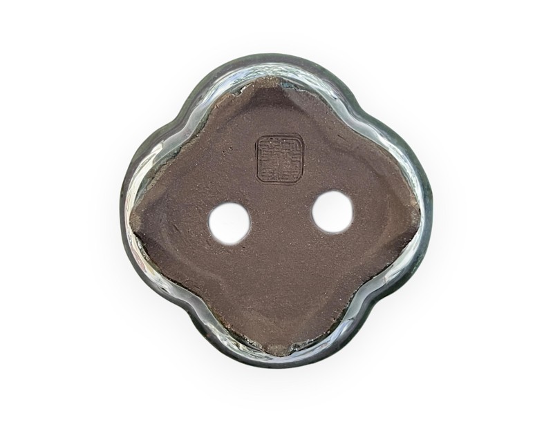 Pot - Tosui - Bonsaist - 11,5 cm