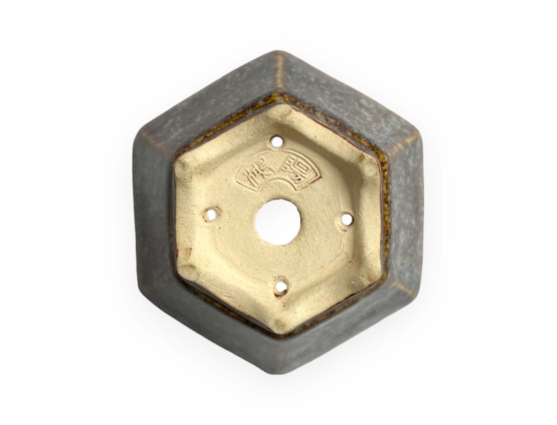 Tokoname - Koyo - 10,5 cm