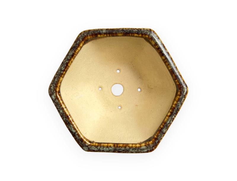 Tokoname - Koyo - 10,5 cm