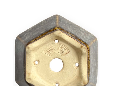 Tokoname - Koyo - 10,5 cm