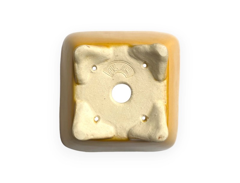 Tokoname - Koyo - 11,5 cm