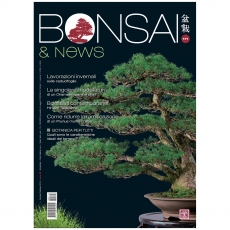 BONSAI & news 171 - January-February 2019