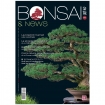 BONSAI & news 171 - Gennaio-Febbraio 2019