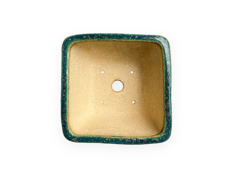 Tokoname - Koyo - 12 cm