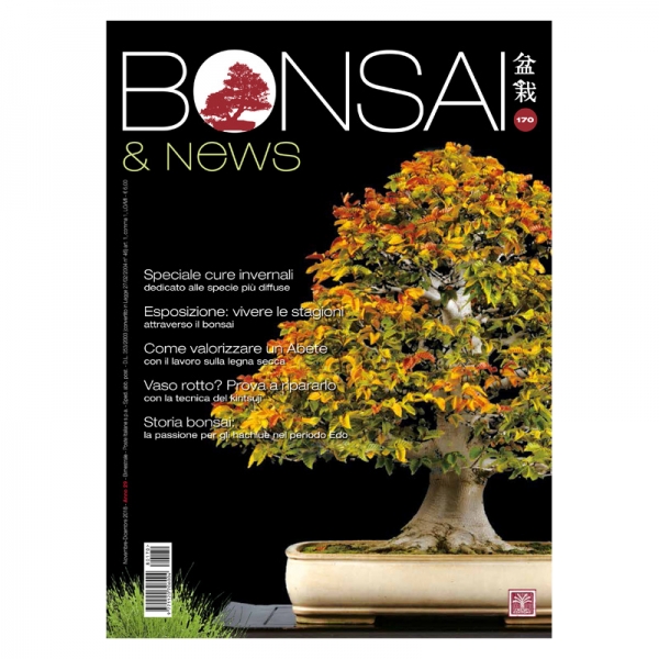 BONSAI & news 170 - Novembre-Dicembre 2018