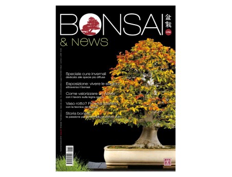 BONSAI & news 170 - Novembre-Décembre 2018