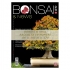 BONSAI & news du 161 au 170