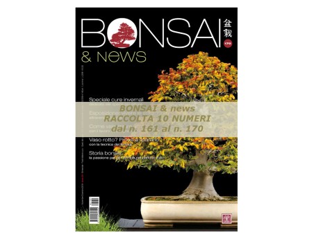 Raccolta BONSAI & news dal 161 al 170