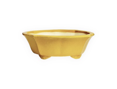 Tokoname - Koyo - 19 cm