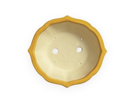 Tokoname - Koyo - 19 cm