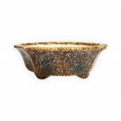 Tokoname - Koyo - 19 cm