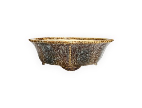 Tokoname - Koyo - 19 cm