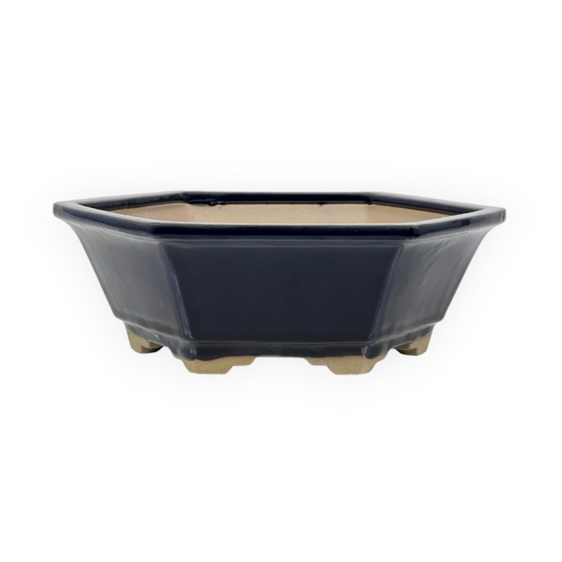 Vaso 26 cm esagonale blu