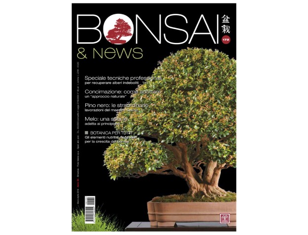 BONSAI & news 172 - Mars-Avril 2019