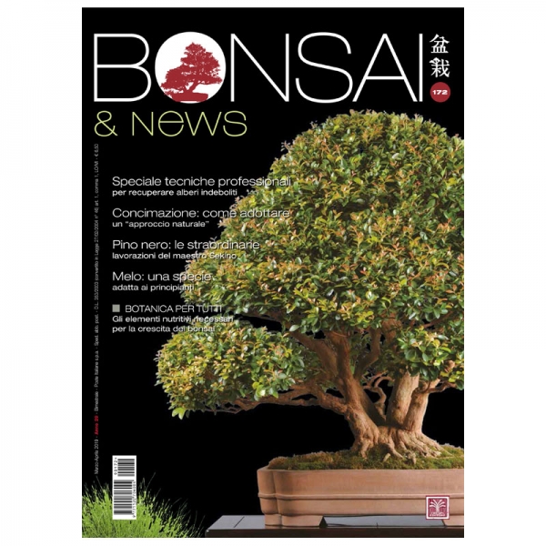 BONSAI & news 172 - Marzo-Aprile 2019