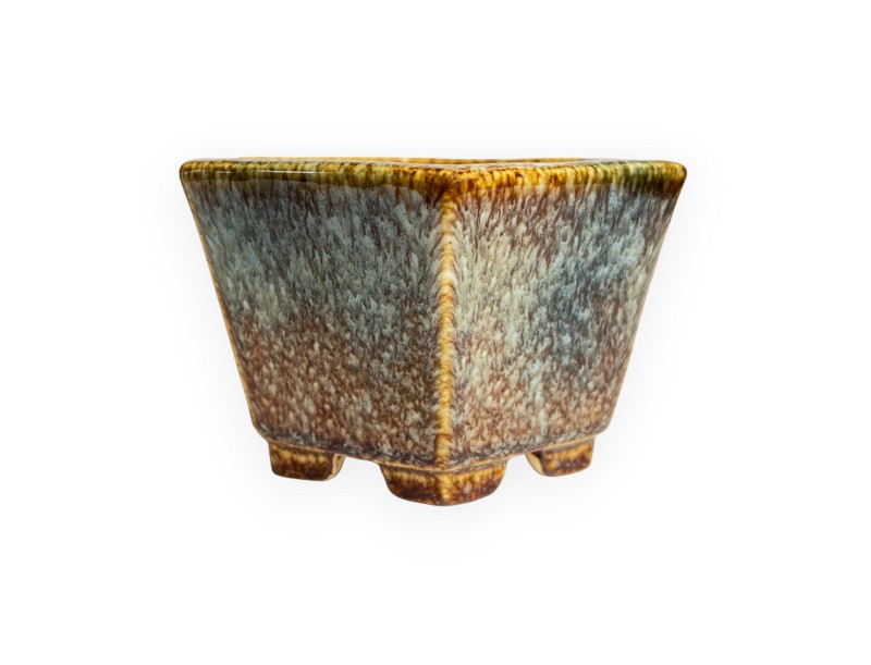 Tokoname - Koyo - 14 cm