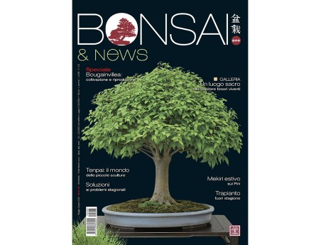 BONSAI & news 203 de Mai-Juin 2024