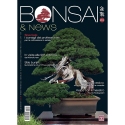 BONSAI & news 204 de Juillet-Août 2024