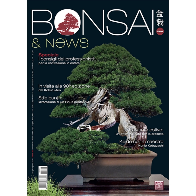 BONSAI & news 204 di luglio-agosto 2024