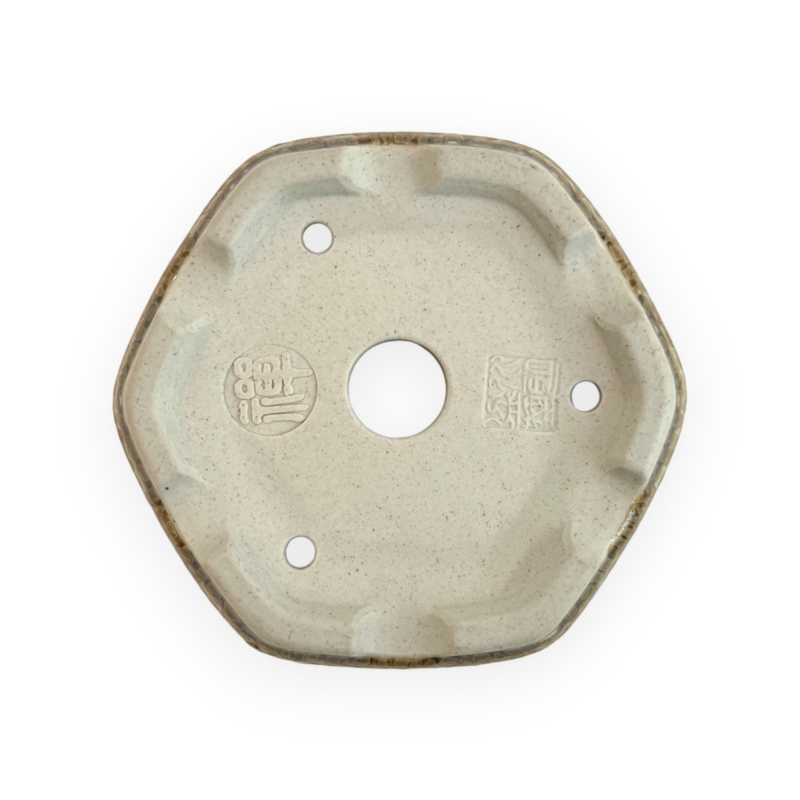 Pot - Shuiming - 9,3 cm