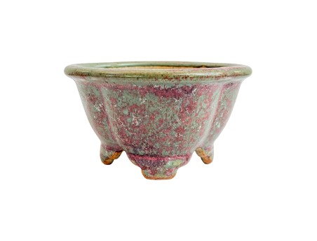 Pot 13 cm for bonsai handmade Shuiming