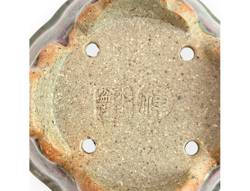 Pot 13 cm for bonsai handmade Shuiming