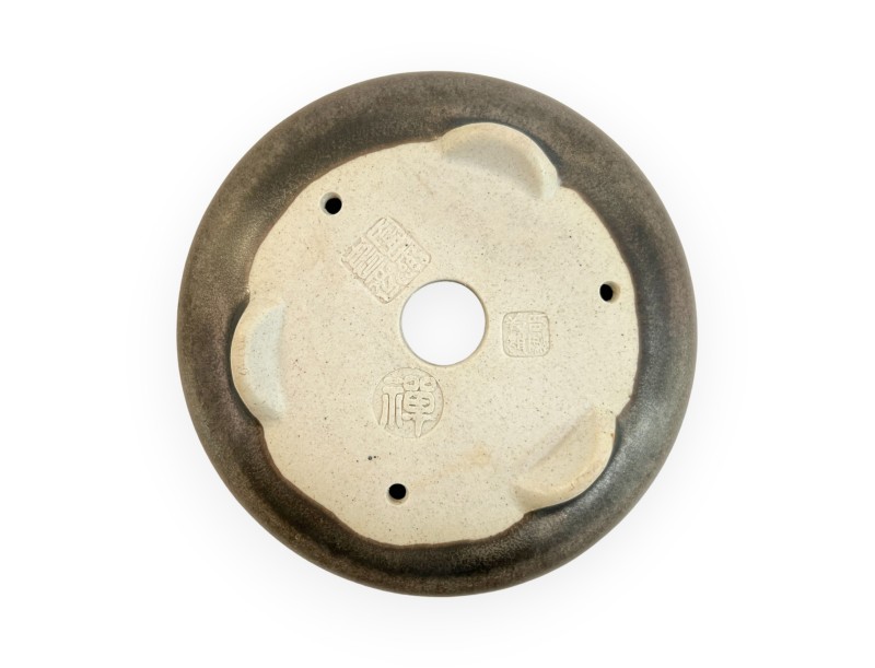 Pot - Shuiming - 10 cm