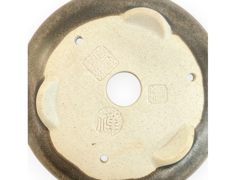 Pot - Shuiming - 10 cm