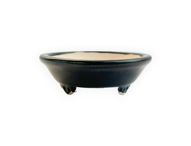 Pot - Shuiming - 8 cm