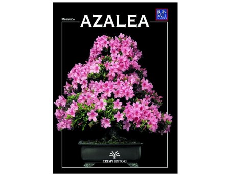 Azalea - Miniguida BONSAI & news