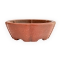 Pot - Shuiming - 11 cm