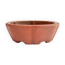 Pot - Shuiming - 11 cm