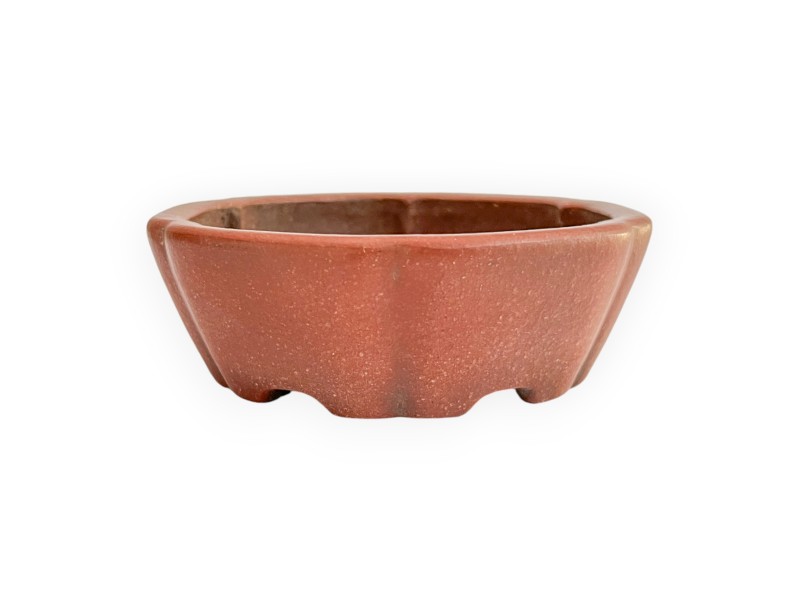 Vaso - Shuiming - 11 cm