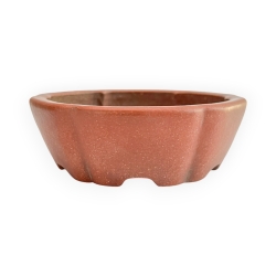 Pot - Shuiming - 11 cm