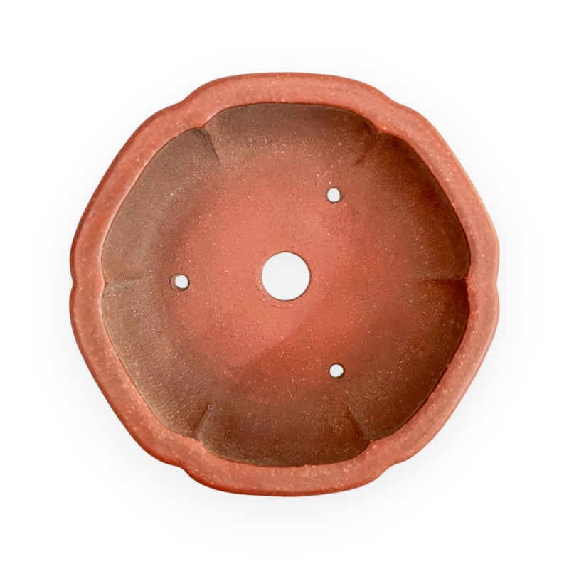Pot - Shuiming - 11 cm