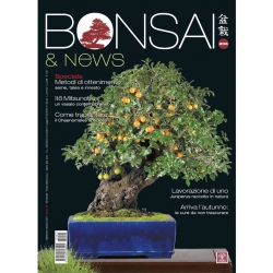 BONSAI & news 205 settembre-ottobre 2024