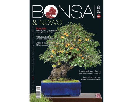 BONSAI & news 205 September-October 2024