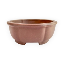 Pot - Shuiming - 11 cm