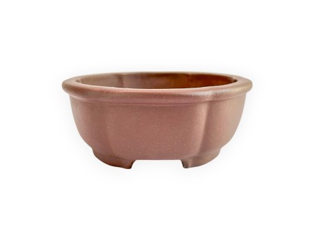 Pot - Shuiming - 11 cm