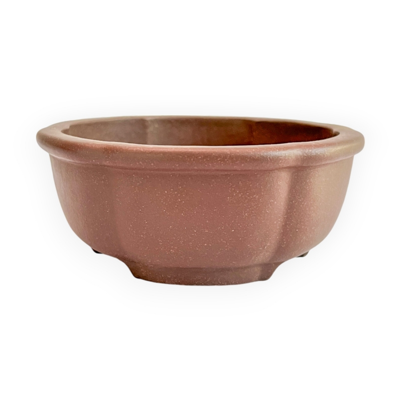 Pot - Shuiming - 11 cm