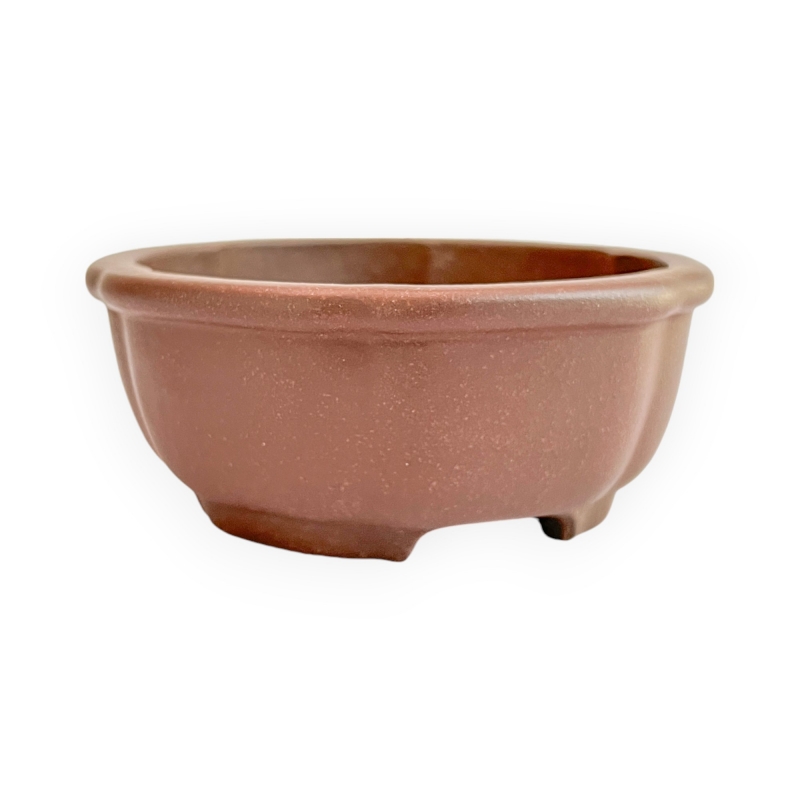 Pot - Shuiming - 11 cm