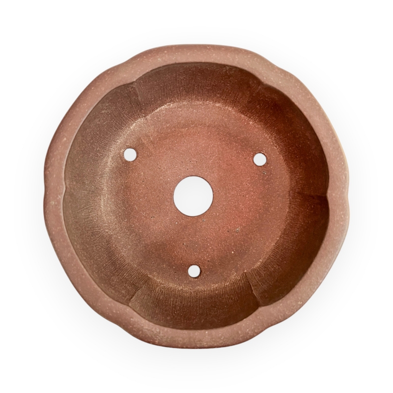 Pot - Shuiming - 11 cm
