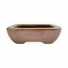 Pot - Shuiming - 10,5 cm