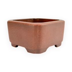 Pot - Shuiming - 9 cm