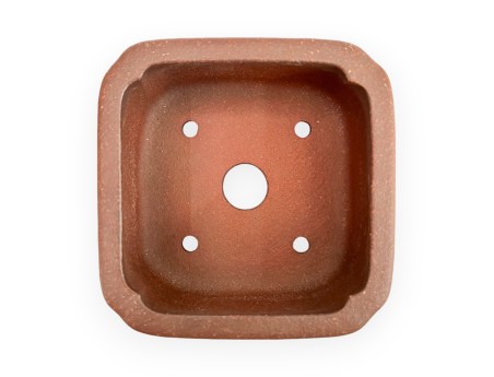 Pot - Shuiming - 9 cm